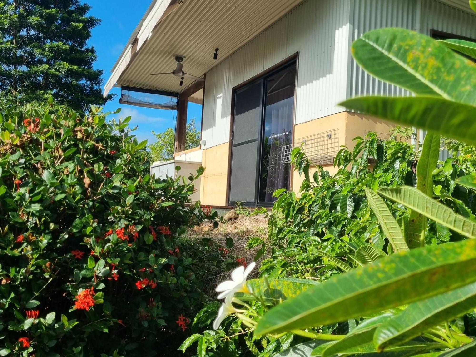 Wompoo Eco Retreat Acomodação com café da manhã Cow Bay Exterior foto