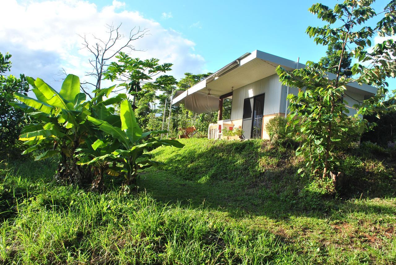 Wompoo Eco Retreat Acomodação com café da manhã Cow Bay Exterior foto